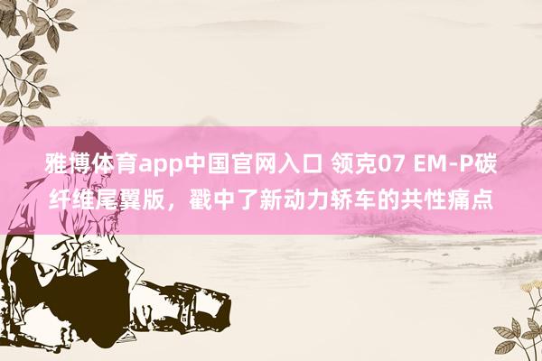 雅博体育app中国官网入口 领克07 EM-P碳纤维尾翼版，戳中了新动力轿车的共性痛点