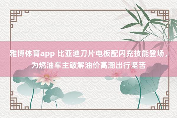 雅博体育app 比亚迪刀片电板配闪充技能登场，为燃油车主破解油价高潮出行坚苦