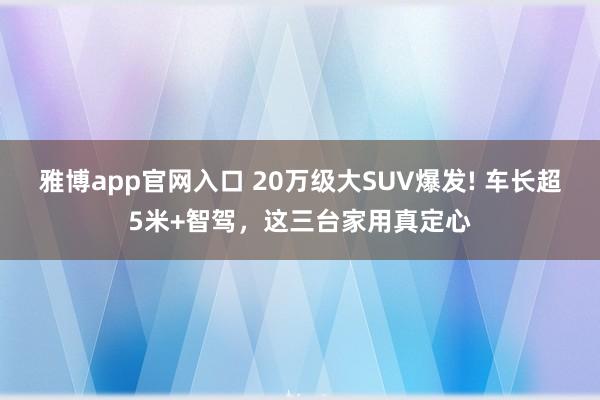 雅博app官网入口 20万级大SUV爆发! 车长超5米+智驾，这三台家用真定心