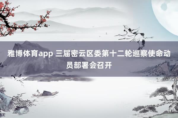 雅博体育app 三届密云区委第十二轮巡察使命动员部署会召开