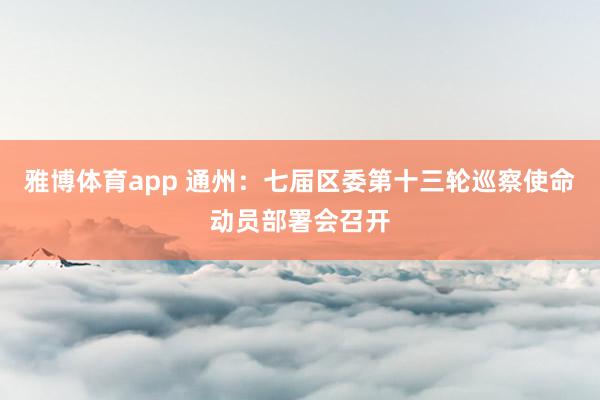 雅博体育app 通州：七届区委第十三轮巡察使命动员部署会召开