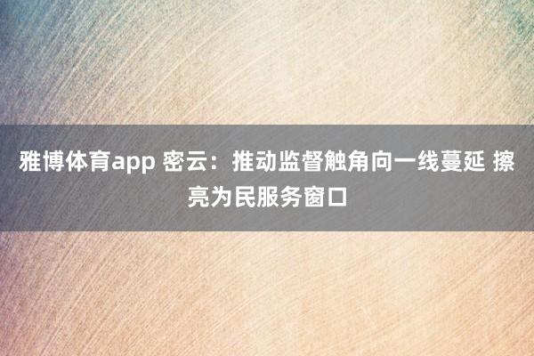 雅博体育app 密云：推动监督触角向一线蔓延 擦亮为民服务窗口