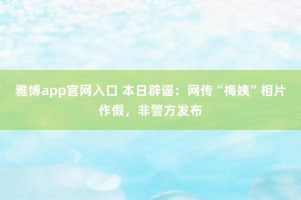 雅博app官网入口 本日辟谣：网传“梅姨”相片作假，非警方发布