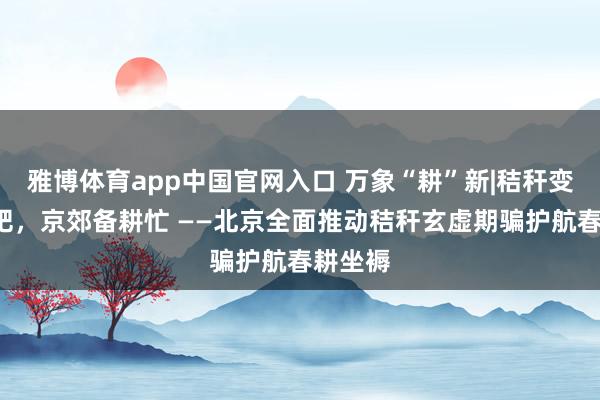 雅博体育app中国官网入口 万象“耕”新|秸秆变“绿”肥，京郊备耕忙 ——北京全面推动秸秆玄虚期骗护航春耕坐褥