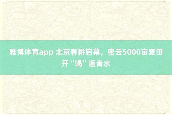 雅博体育app 北京春耕启幕，密云5000亩麦田开“喝”返青水