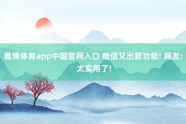 雅博体育app中国官网入口 微信又出新功能! 网友: 太实用了!