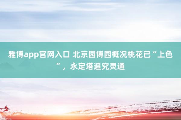 雅博app官网入口 北京园博园概况桃花已“上色”，永定塔追究灵通