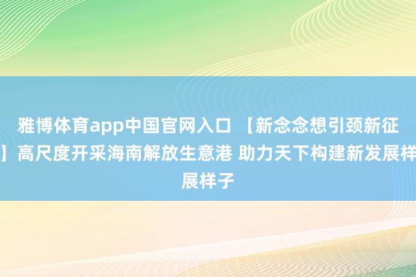 雅博体育app中国官网入口 【新念念想引颈新征途】高尺度开采海南解放生意港 助力天下构建新发展样子