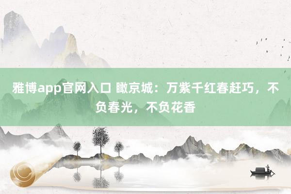 雅博app官网入口 瞰京城：万紫千红春赶巧，不负春光，不负花香