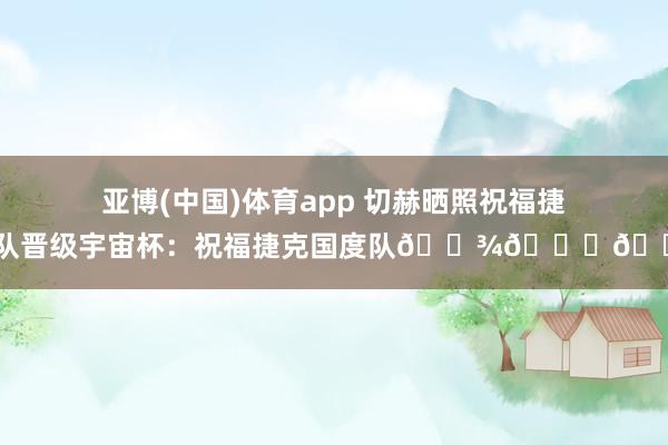 亚博(中国)体育app 切赫晒照祝福捷克队晋级宇宙杯：祝福捷克国度队🍾👏👏