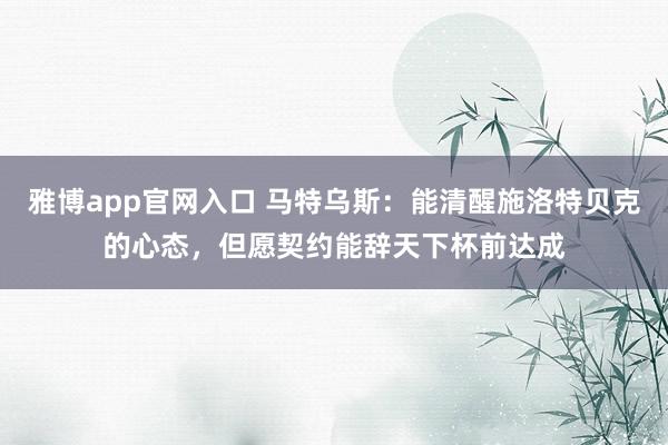 雅博app官网入口 马特乌斯：能清醒施洛特贝克的心态，但愿契约能辞天下杯前达成