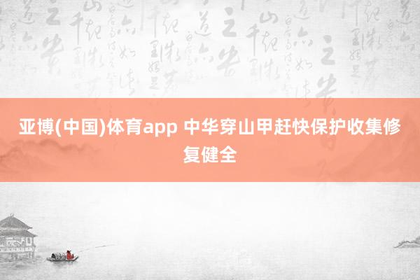 亚博(中国)体育app 中华穿山甲赶快保护收集修复健全
