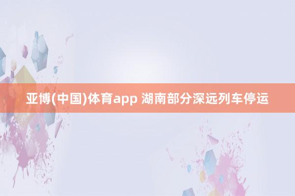 亚博(中国)体育app 湖南部分深远列车停运