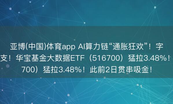 亚博(中国)体育app AI算力链“通胀狂欢”！字节增多25%本钱开支！华宝基金大数据ETF（516700）猛拉3.48%！此前2日贯串吸金！