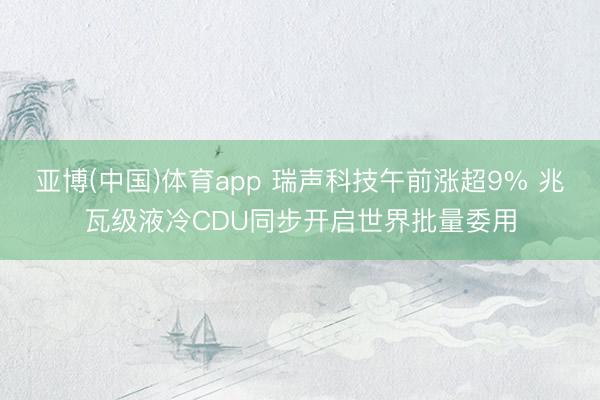 亚博(中国)体育app 瑞声科技午前涨超9% 兆瓦级液冷CDU同步开启世界批量委用