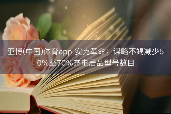 亚博(中国)体育app 安克革命：谋略不竭减少50%至70%充电居品型号数目