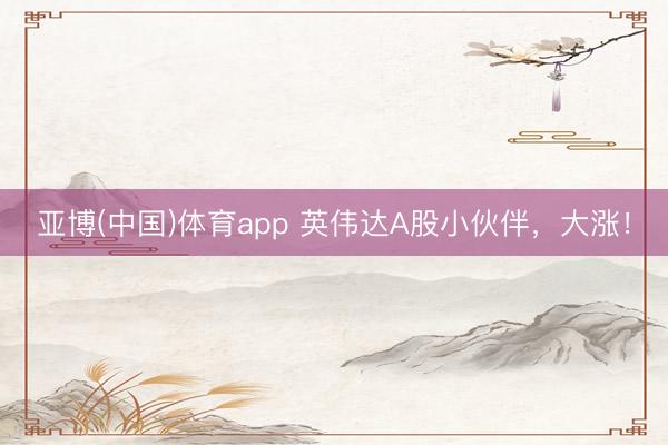 亚博(中国)体育app 英伟达A股小伙伴，大涨！