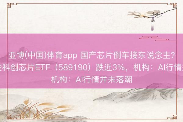 亚博(中国)体育app 国产芯片倒车接东说念主?华宝基金科创芯片ETF(589190)跌近3%,机构:AI行情并未落潮