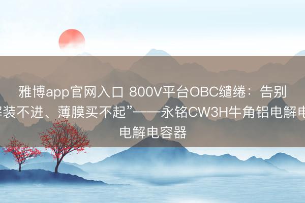 雅博app官网入口 800V平台OBC缱绻：告别“电解装不进、薄膜买不起”——永铭CW3H牛角铝电解电容器