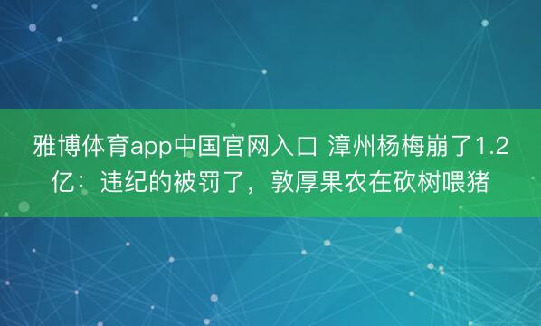 雅博体育app中国官网入口 漳州杨梅崩了1.2亿：违纪的被罚了，敦厚果农在砍树喂猪