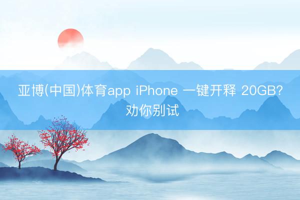 亚博(中国)体育app iPhone 一键开释 20GB? 劝你别试