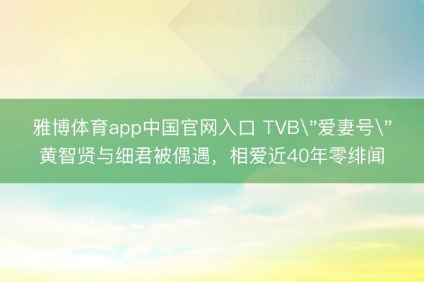 雅博体育app中国官网入口 TVB