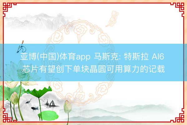 亚博(中国)体育app 马斯克: 特斯拉 AI6 芯片有望创下单块晶圆可用算力的记载