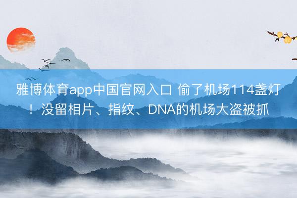 雅博体育app中国官网入口 偷了机场114盏灯！没留相片、指纹、DNA的机场大盗被抓