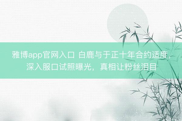 雅博app官网入口 白鹿与于正十年合约适度，深入服口试照曝光，真相让粉丝泪目